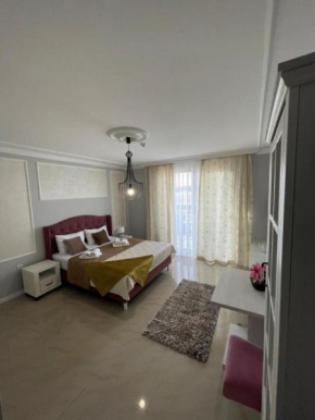 Adonis 204 Zlatibor